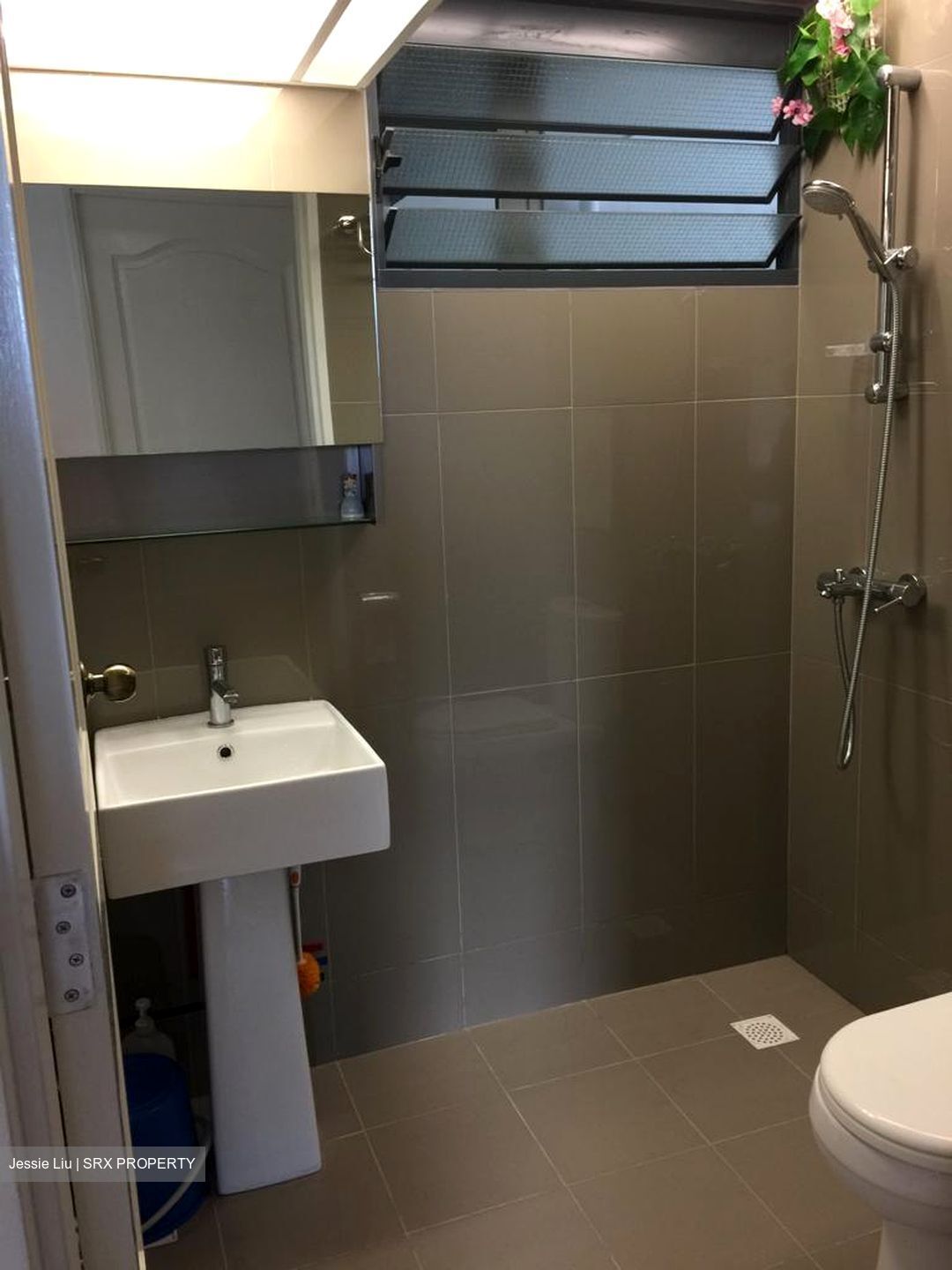 Punggol Walk (Punggol), HDB HUDC #393788711